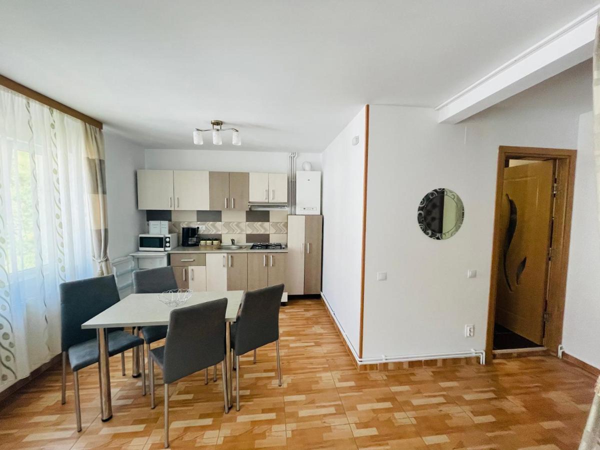Garsoniera Family Διαμέρισμα Buşteni Εξωτερικό φωτογραφία